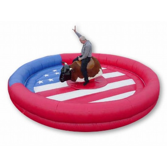 Mechanical Bull Riding