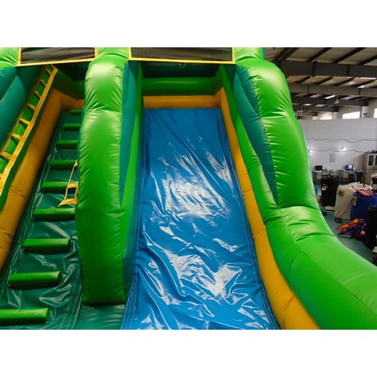 Inflatable Tropical Theme Commercial Slide