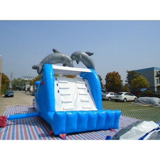 Inflatable Dolphin Slide