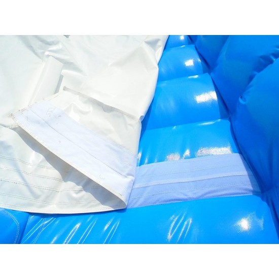 Inflatable Dolphin Slide