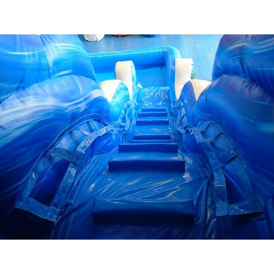 Inflatable Dolphin Water Slide