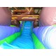 Wild Rapids Water Slide