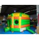 Bouncy Castle Pentagon Jungle